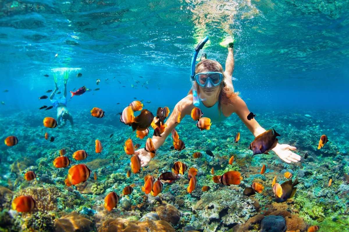 Private Island Hopping Boat Tour and Snorkelling